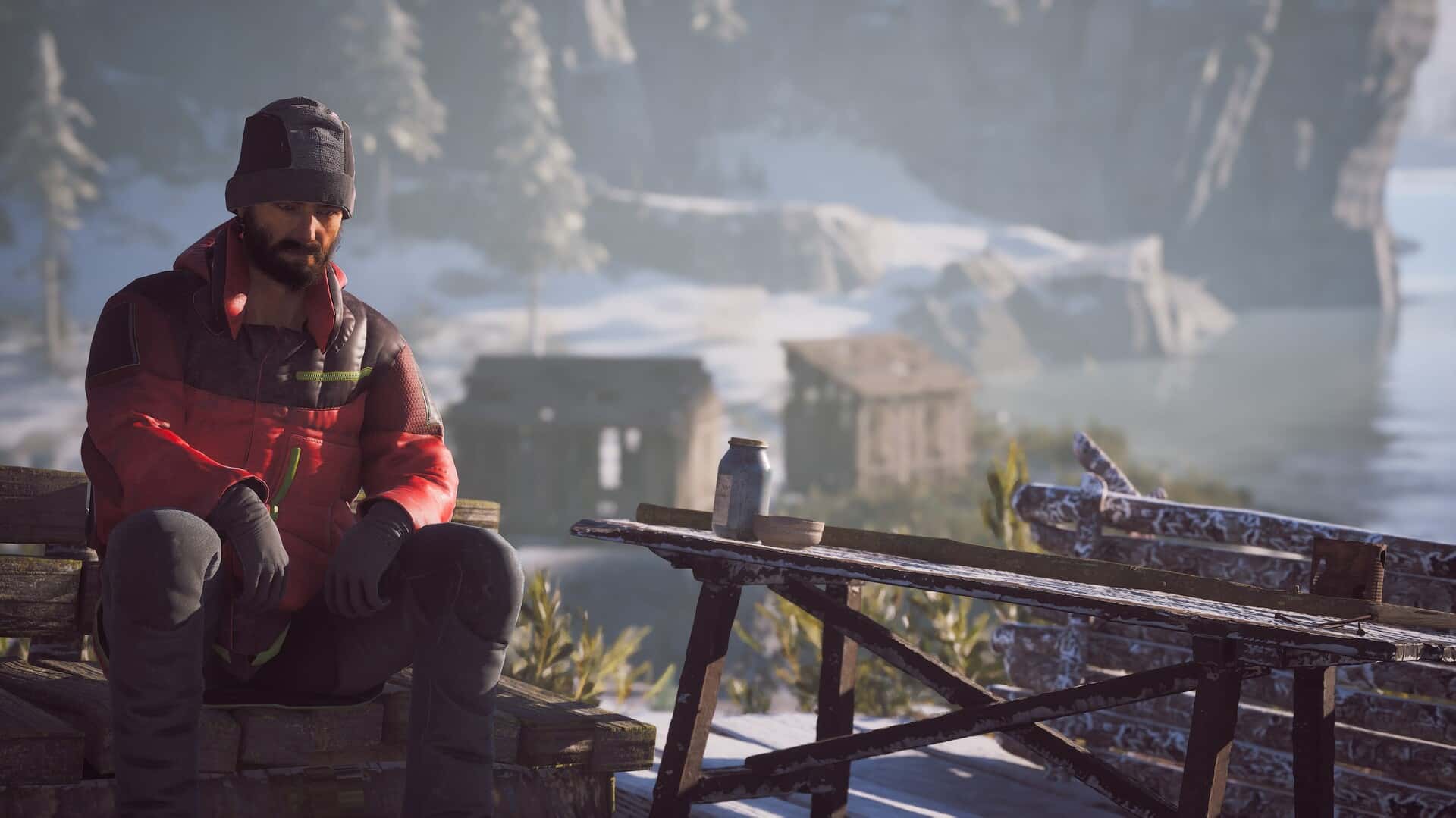 冬日幸存者 Winter Survival 中文版封面